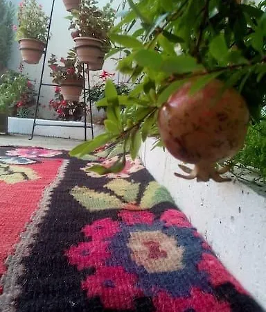 Gasthuis Pansion Sefica-avlija 3*